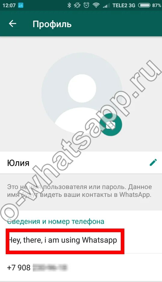 Сведения в ватсап. Статус ватсап андроид. сведения и номер телефона в ватсапе. название профиля в ватсапе. что можно написать в ватсапе.