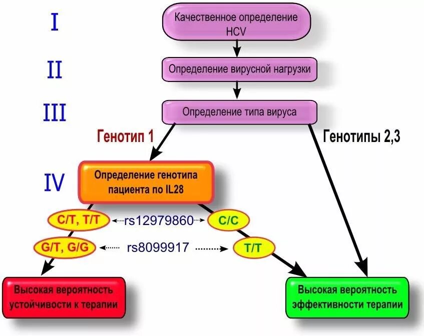 Генотип вируса это. Гепатит с. 1 в генотипирование РНК. Генотипирование вируса гепатита с 1b что это такое. Генотип 1 вируса гепатита с. Генотип гепатита 3a/3b.