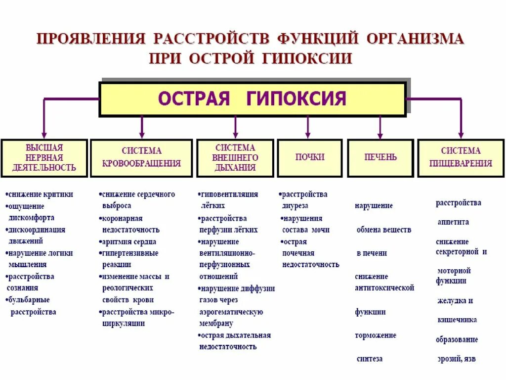 Нарушение функций 1 степени. Проявления расстройств функций организма при острой гипоксии. Патологический процесс при гипоксии. Проявления хронической гипоксии. Нарушение физиологических функций при острой и хронической гипоксии.