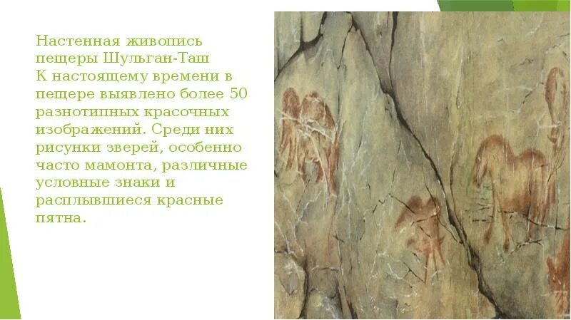 Пещера шульган таш сообщение. Настенная живопись в пещере шульган-таш. заповедник шульган-таш и капова пещера. капова пещера изнутри. капова пещера проект.