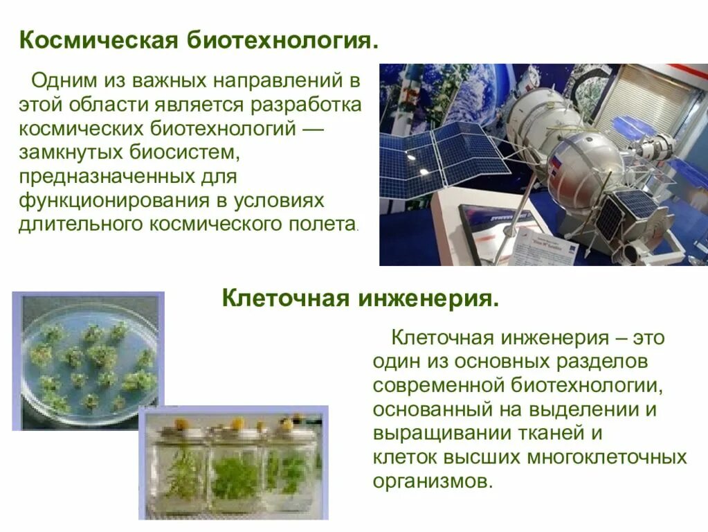 Какие из перечисленных методов используются в биотехнологии. Современные биотехнологии. космическая биотехнология. клеточная инженерия в биотехнологии. клеточная инженерия космическая биотехнология.