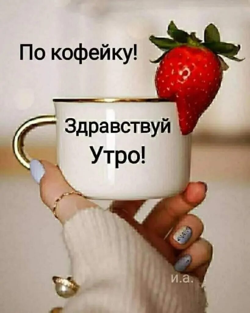 Всем доброе утро здравствуйте. Здравствуйте доброе утро. здравствуй утро. доброе утречко необычные картинки. ну здравствуй доброе утро.