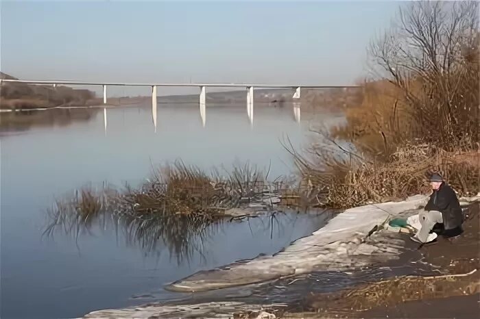 Подъем воды в серпухове. Река Ока Калуга. Разлив Оки в Калуге. Половодье Калуга Ока. Река Протва Серпухов.