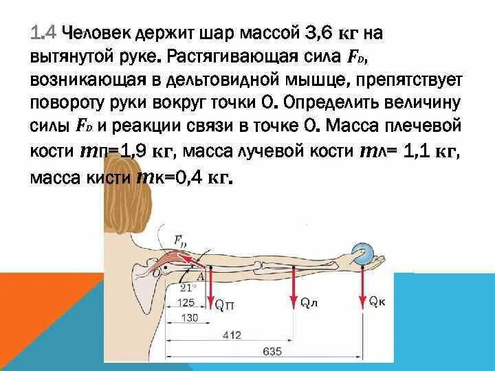 Сколько должен держать. Удержание веса на вытянутых руках. Продержать вес на вытянутой руке. Держание предмета на вытянутых руках. Удержание груза на вытянутой руке.