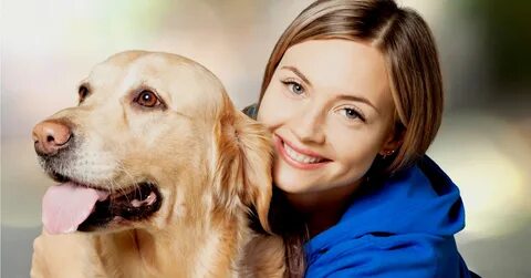 Buy a dog