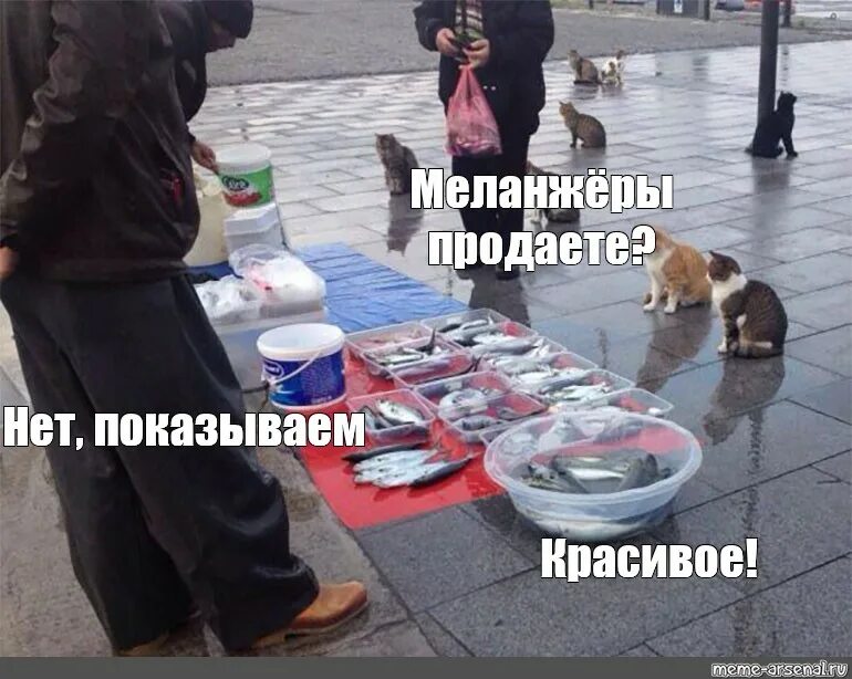 Рыбу продаете нет показываю красивое. Рыб продаете мем. мем ..дошираков продаете?.