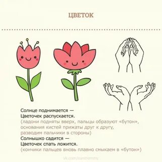 Гимнастика цветов