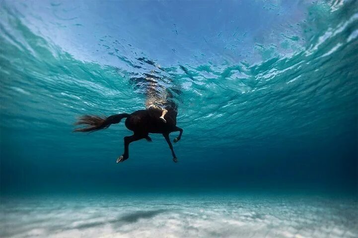 US coastal sea level rises break records, new study shows World Economic Forum