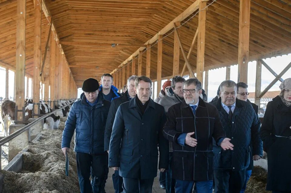 Погода воронежская кантемировский новомарковка. Новомарковское ооо схп воронежская область. Новомарковка. Погода воронежская кантемировский новомарковка. Погода воронежская кантемировский новомарковка.