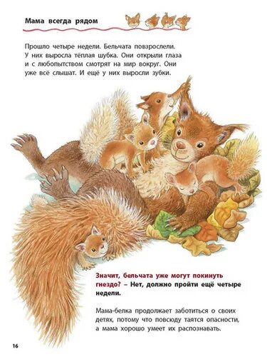 Сравни два текста жила была белка