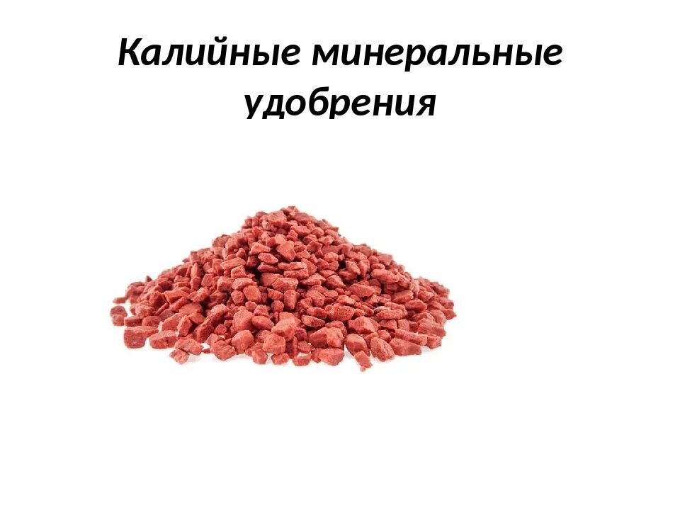 Калийные Минеральные удобрения. Калийные удобрения химия. Калийные удобрения это Минеральные удобрения. Хлористый калий удобрение. Калийные центр производства