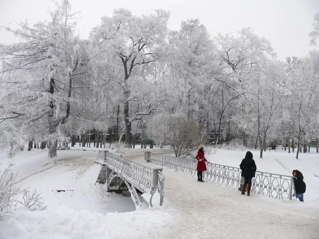 таврический сад в санкт-петербурге зимой. таврический сад в санкт-петербурге каток. питер юсуповский сад зима. таврический сад зимой каток. таврический сад в санкт-петербурге зимой.