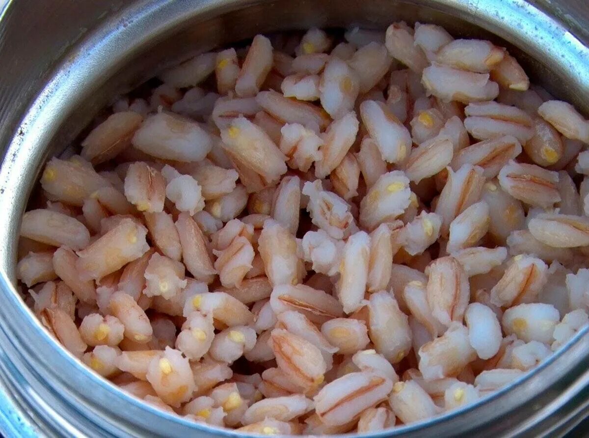 Пшеница для варки. Пшеница для рыбалки. Пшеница на рыбу. Вареная пшеница. Пшеничный.