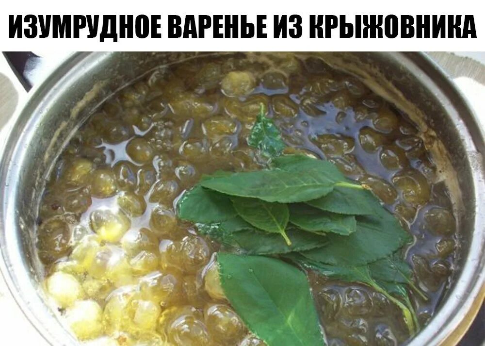 Варенье из крыжовника с вишневыми листьями. Изумрудное варенье из крыжовника с вишневыми. Царское варенье изумрудное. Изумрудное варенье из крыжовника с вишневыми. Изумрудное варенье из крыжовника.
