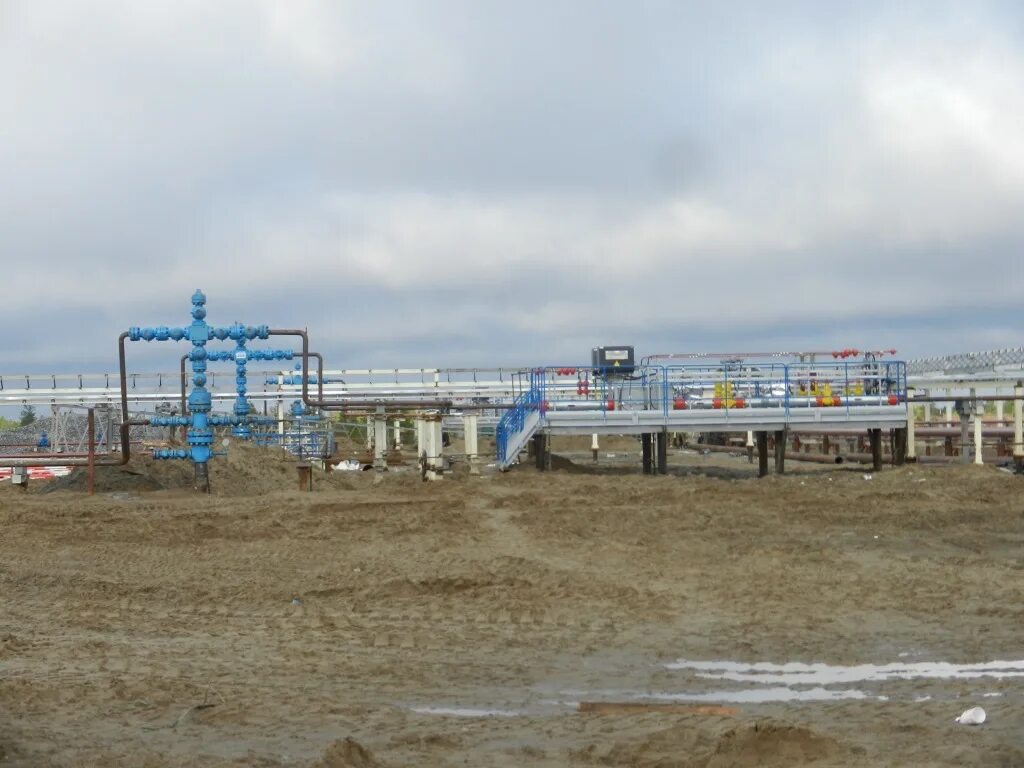 Тернефтегаз. Тернефтегаз. Тернефтегаз тарко-сале. Термокарстовое газоконденсатное месторождение. Тернефтегаз краснодар.