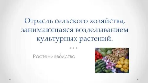 Полеводство занимается возделыванием