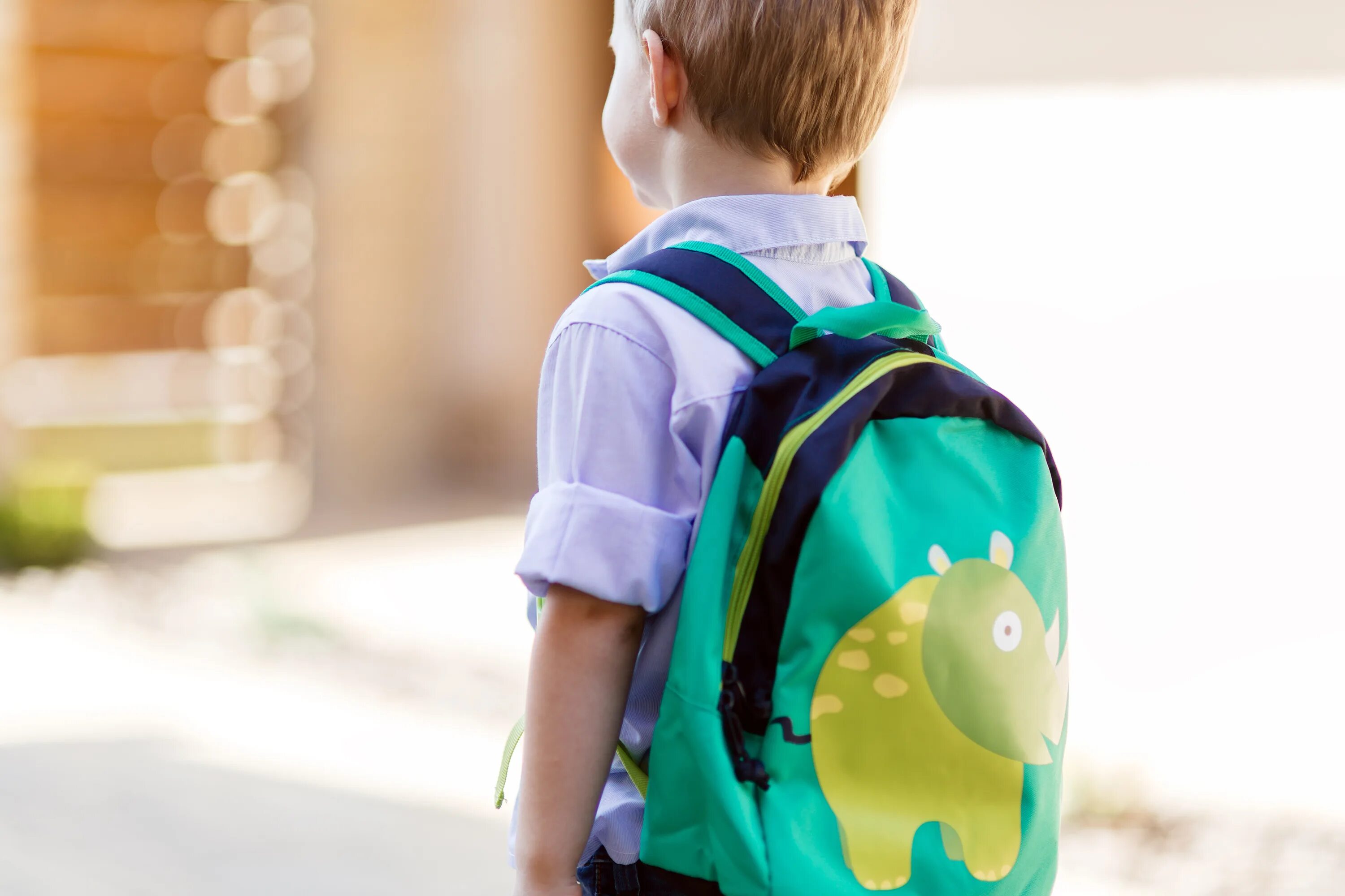 Школьники идут. Школьники летом. Первоклассник со спины. Children go to School. Little school children