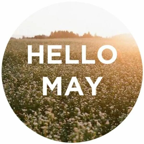 Hello May. Hello May картинки. Hello May надпись. Привет май надпись. Например hello