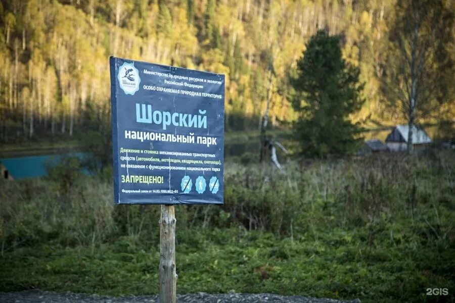 Шорский национальный парк растения. Шорский национальный парк где находится. Шорский заповедник кузбасса. Шорский национальный парк на карте. Шорский национальный парк территория.