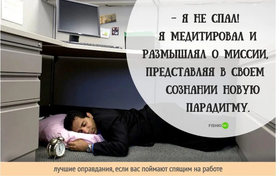 Спит в офисе. Спит на работе. Как бороться со сном на рабочем месте. Спящий работник. Подушка для офиса страус.