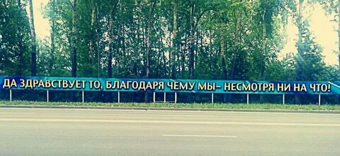 Не смотря нн на что