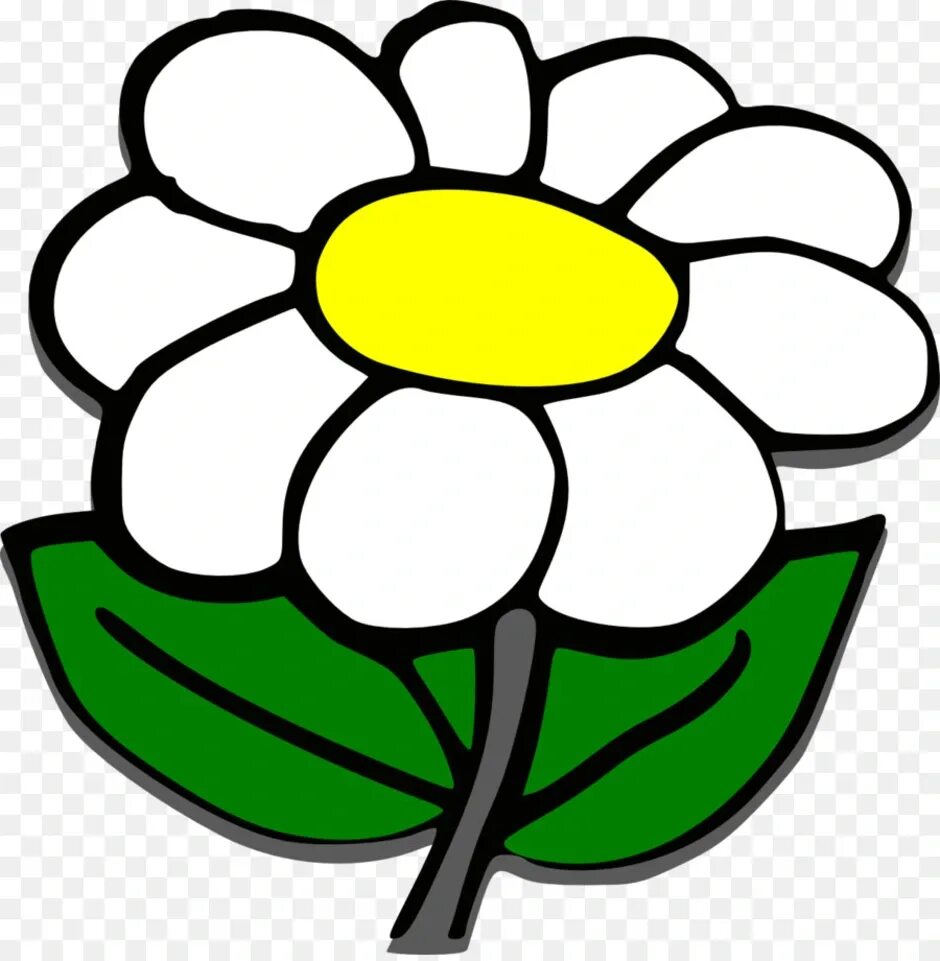 Ромашка рисунок. Нарисовать ромашку. Ромашка рисунок. Нарисовать ромашку. Ромашка фото нарисованная.