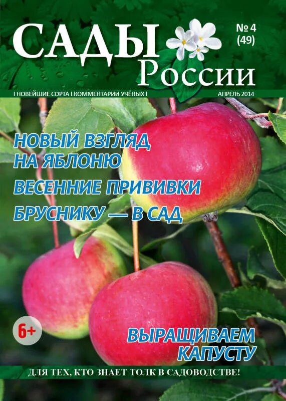 Каталог семян и саженцев сады россии. Сады России Челябинск. Семена сады России Челябинск. Челябинский питомник сады России. Сады России Челябинск саженцы.