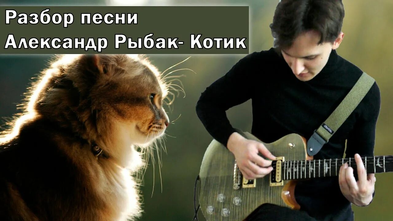 Русский кот песни. Котик Рыбак.