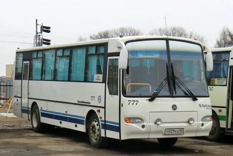 Автобус до мясокомбината