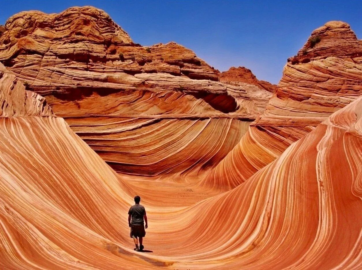 В мире есть такое место. Скальная формация волна, Аризона. Каньон Аризонская волна. Каньон волны Аризона. Волна каньон штат Юта.