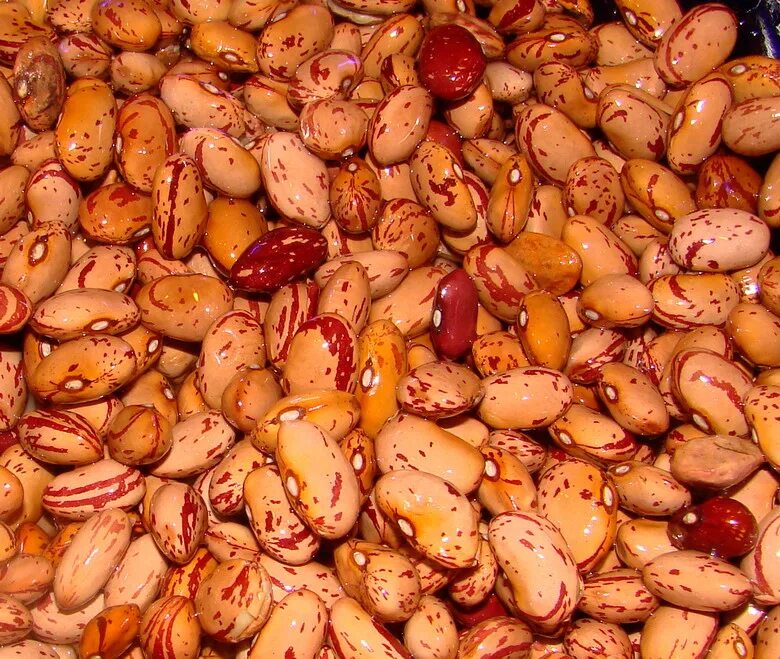 какао зерна текстуры. фасоль урожайные сорта. бобы. Beans ещьфнщ. бобы приготовленные.