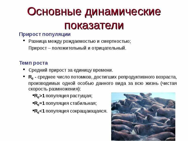 Популяция способна к. Этапы эволюции популяции. Динамика развития популяции. Сокращающаяся популяция. Этапы эволюции популяции последовательность.