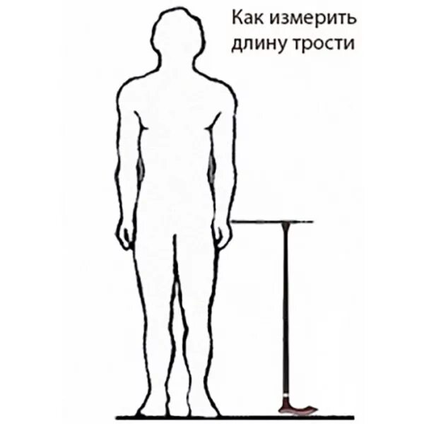 Как правильно подобрать трость. Правильная высота трости. Выбор длины трости. Подобрать трость по высоте. Измерение длины трости.