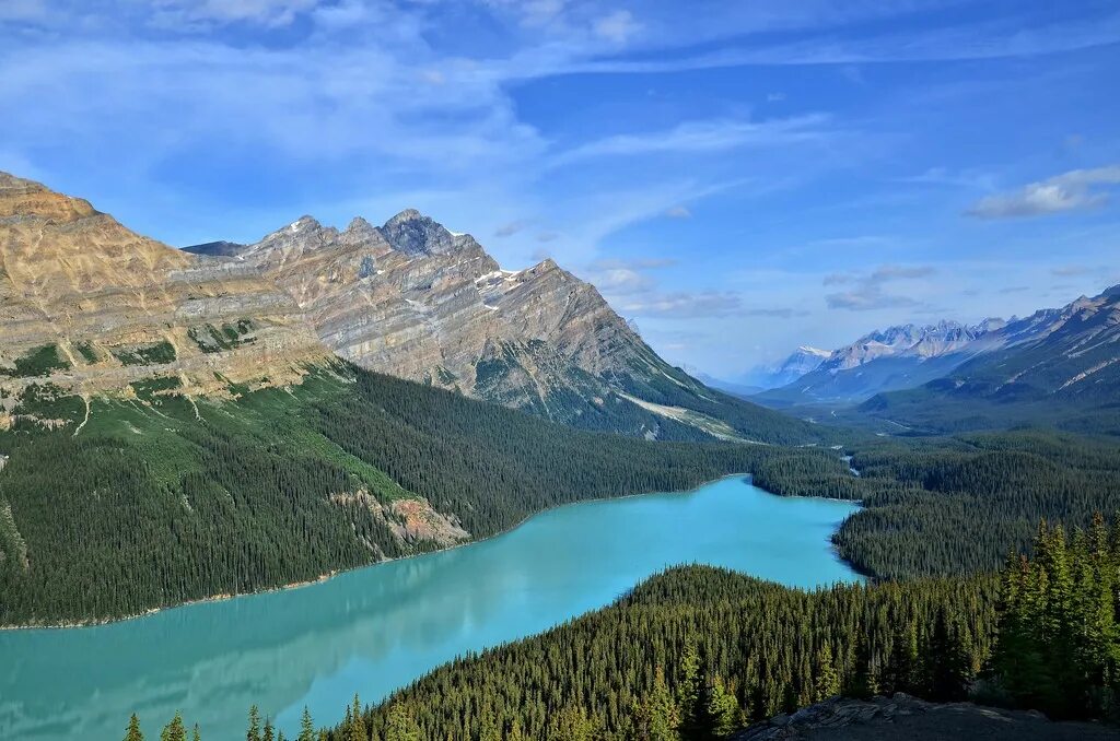Готовые блюда. Специализации сельского хозяйства поволжского района. Пустыня атакама зацвела. Хозяйство района поволжье. Причины многообразия живых организмов.