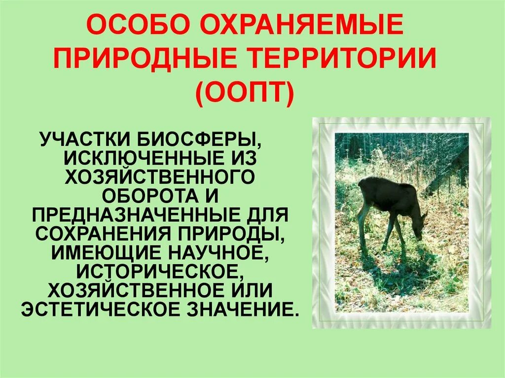 Использования и охраны особо охраняемых. Особо охраняемые природные территории. особо охраняемые природные территории (оопт). особо охраняемые природные территории презентация. особо охраняемая территория.