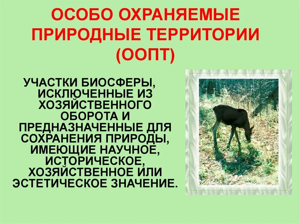 Как называется вид особо охраняемых природных территорий. Особо охраняемые природные территории. Особо охраняемые природные территории (ООПТ). Особо охраняемые природные территории презентация. Особо охраняемая территория.