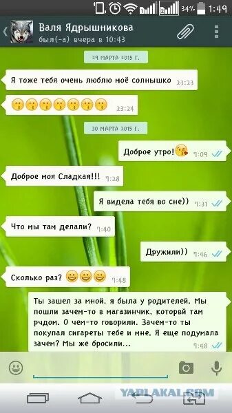 Смешные переписки в ватсапе. Интимная переписка в whatsapp. Жена переписывается в ватсап. Смешные переписки в вотапе. Смешные переписки.