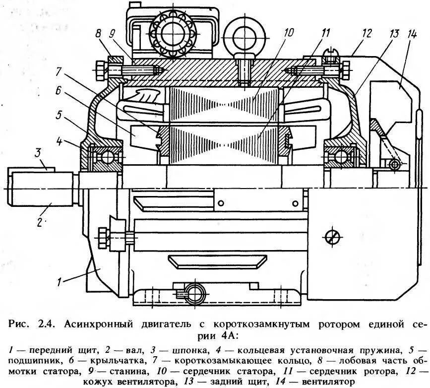 Асинхронный двигатель короткого замыкания. Схема асинхронного двигателя с короткозамкнутым ротором. Устройство асинхронного двигателя с короткозамкнутым ротором схема. Асинхронный двигатель с короткозамкнутым ротором основные узлы. Чертеж асинхронного двигателя с короткозамкнутым ротором.