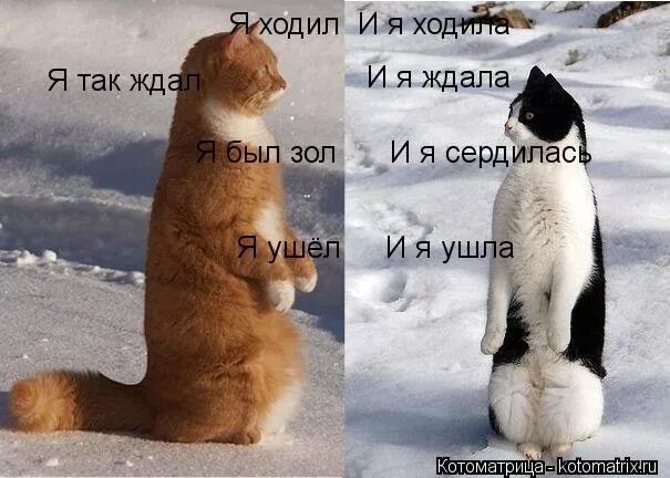 Так и ходи сайт