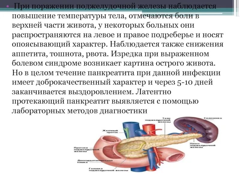 Фотожурнал Руазел. Страница 1169472
