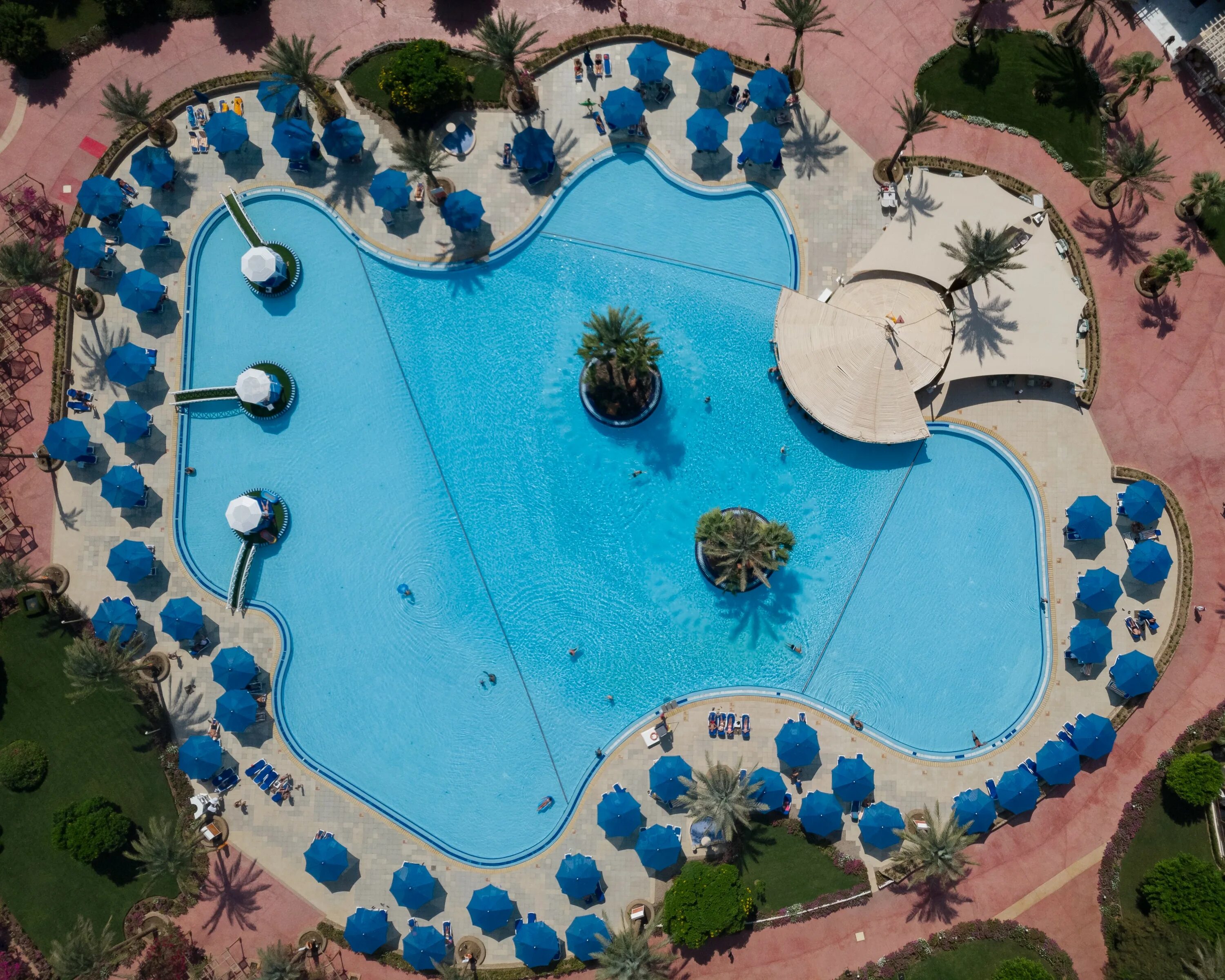 Desert rose resort 5 египет хургада. Desert rose 2024. Отель десерт розе хургада 5. Desert rose resort 5* аквапарк. Desert rose resort 5 египет хургада.