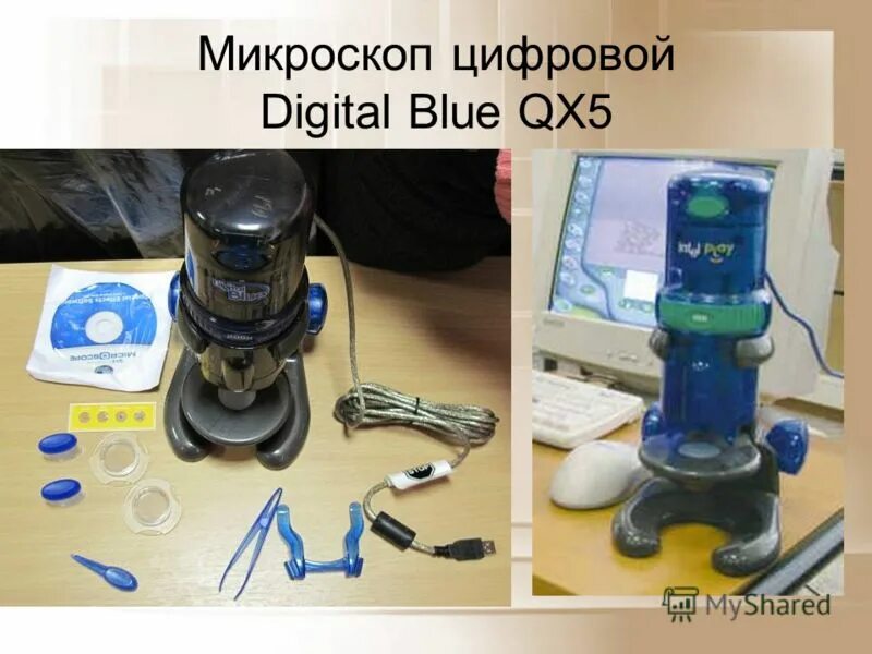 Microscope qx5. Цифровой микроскоп digital blue qx3. Микроскоп электронный digital blue qx5. Microscope qx5. Цифровой микроскоп диджитал блю qx5.