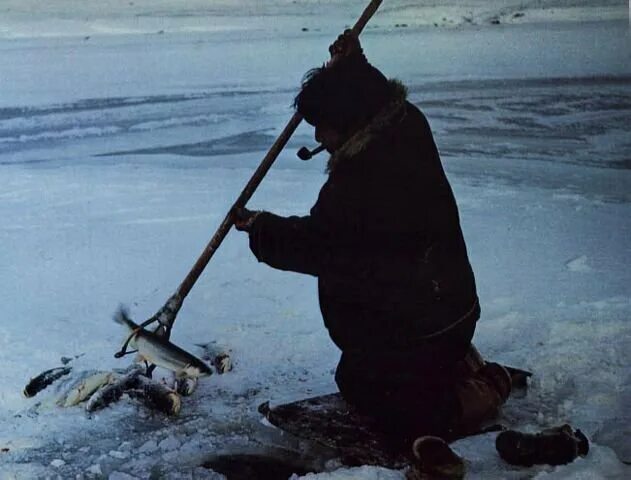 Коренные малочисленные народы севера хмао. Ненцы ханты манси чукчи. Ямало-ненецкий автономный округ охота. Рыба северных народов. Ненцы рыбаки.
