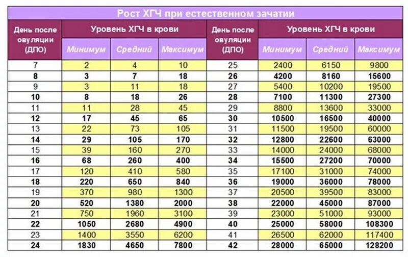 Сколько хгч в моче