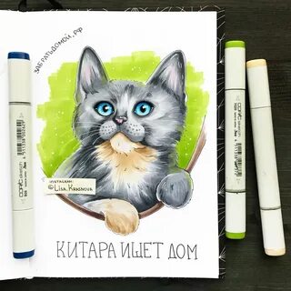 Нарисовать котика маркерами