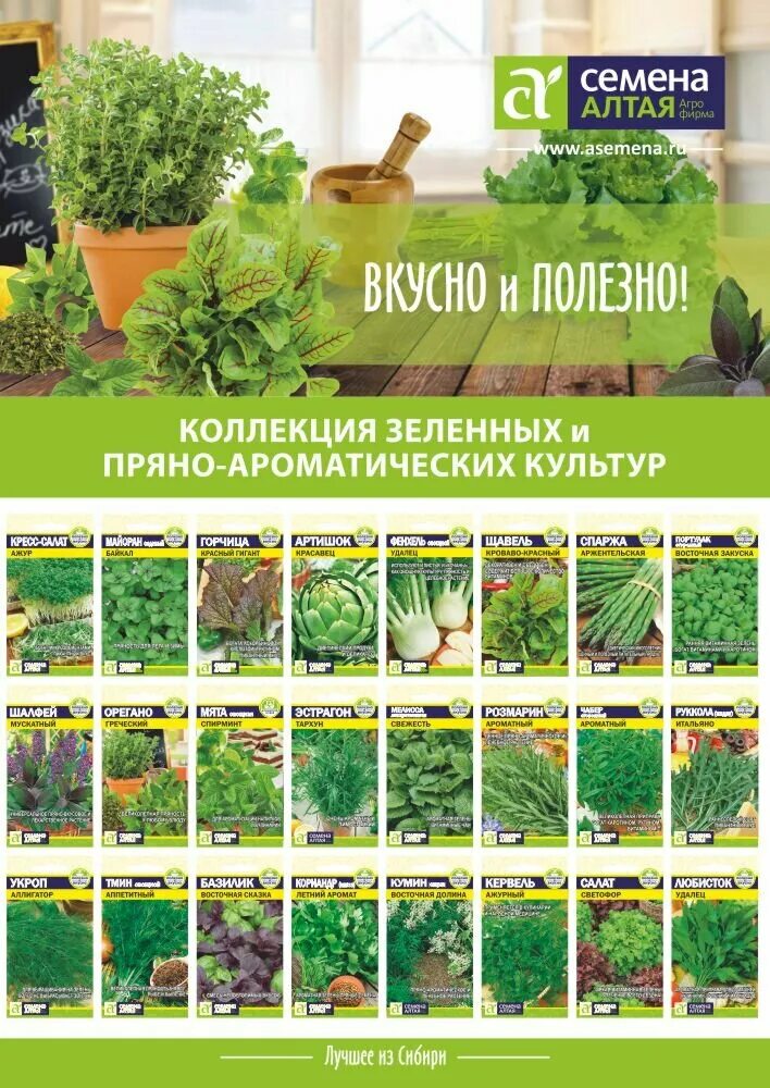 Семена Алтая. Агрофирма семена Алтая. Алтайские семена каталог.
