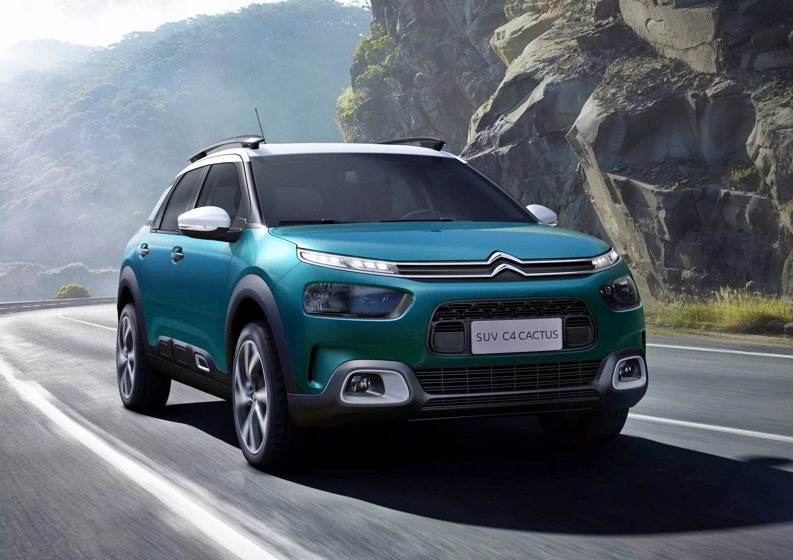 Cactus 4. Citroen c4 Cactus 2019. Citroen c4 Cactus 2018. Citroen c4 SUV. SUV c4 Cactus.