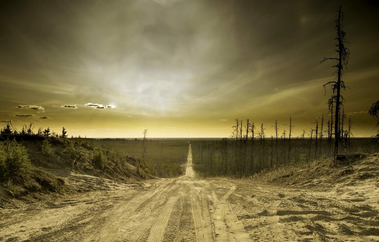 Конец света в лесу. Конец света в лесу. Конец света в лесу. Разрушенный город арт апокалипсис руины. Город после апокалипсиса.