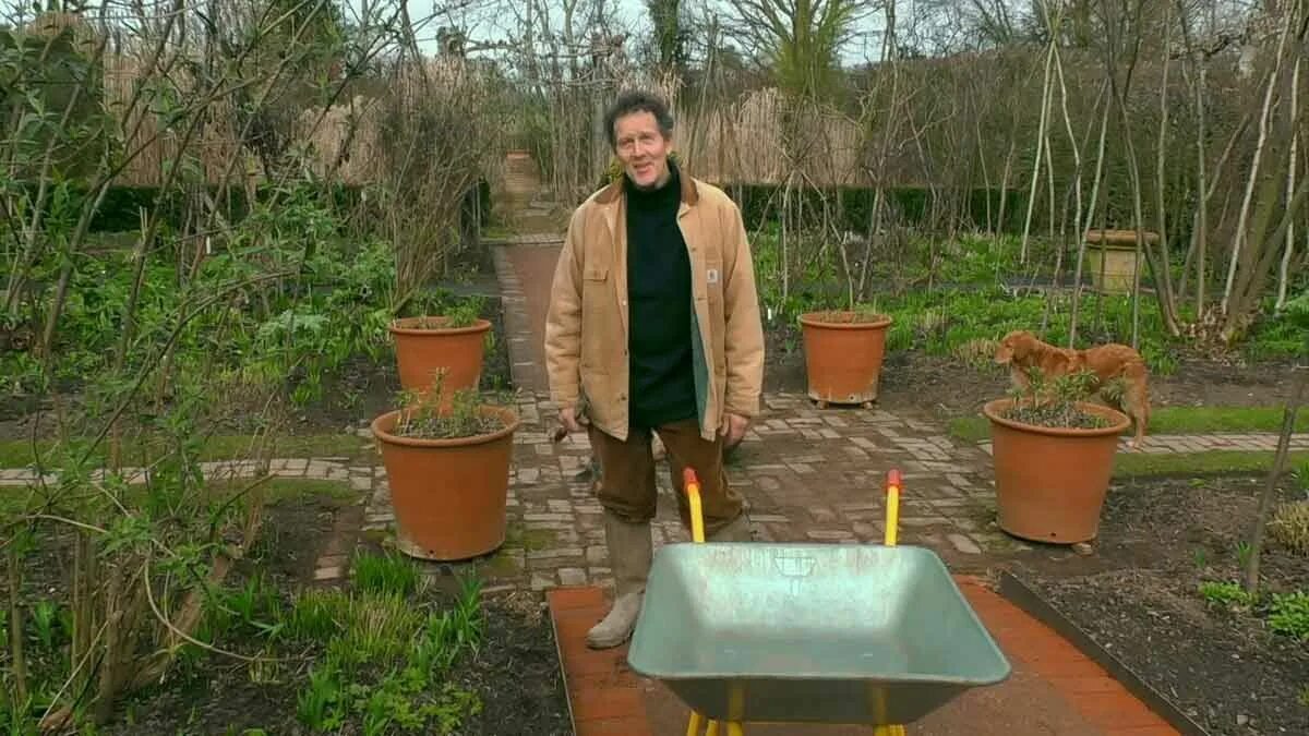 Gardening world. Gardening world. Монти дон британский телеведущий. Gardening world. Джош бирн.
