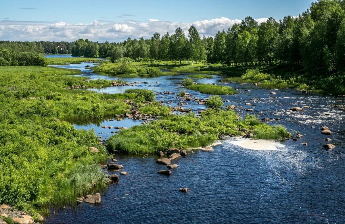 Теплые реки в россии. Река. Реки России. Ректа. Река фото.